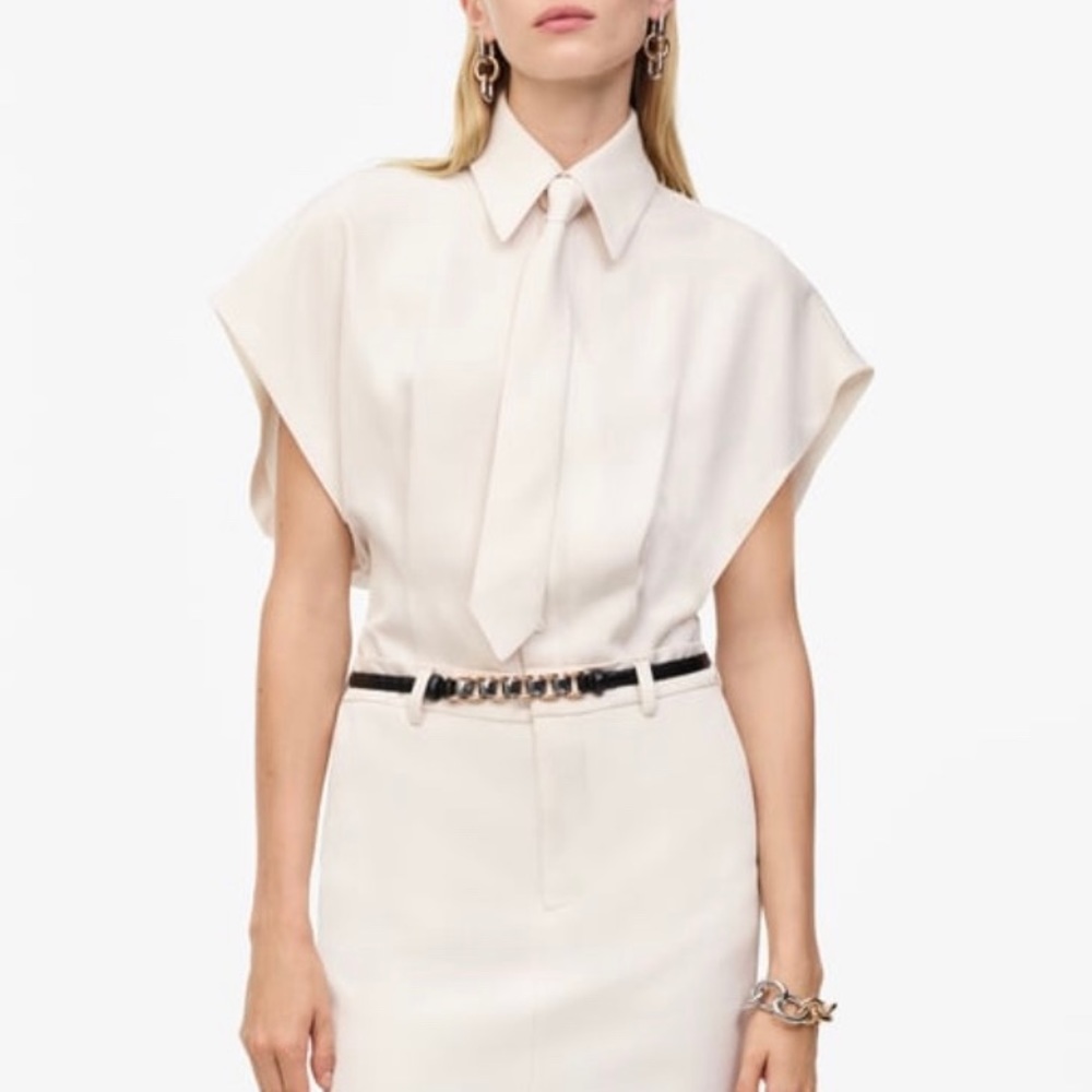 Zara limited edition shirt dress